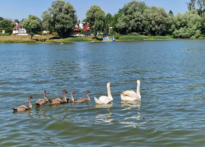 Marinasurf Baza Wypoczynkowa Przeczyce